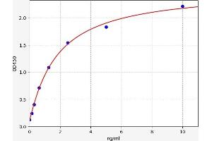 Typical standard curve (SLC5A1 ELISA 试剂盒)