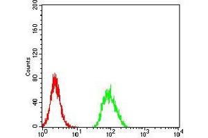 Flow cytometric analysis of Hela cells using RBFOX3 mouse mAb (green) and negative control (red). (NeuN 抗体  (AA 1-140))
