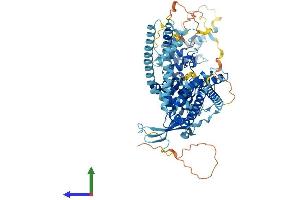 Protein Structure (PS) image for Transient Receptor Potential Cation Channel, Subfamily V, Member 2 (TRPV2) (AA 1-756) protein (His tag) (ABIN7565205)