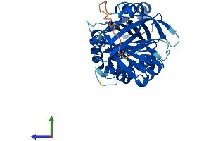 AlphaFold protein structure predicition of Human Recombinant SERPINB8 Protein, UniprotID P50452