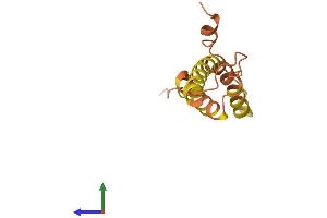 AlphaFold protein structure predicition of Human Recombinant PRR9 Protein, UniprotID Q5T870 (PRR9 Protein (AA 1-116) (His tag))