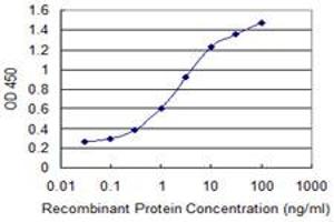 Detection limit for recombinant GST tagged PSCA is 0. (PSCA 抗体  (AA 23-95))