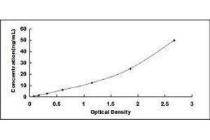 Odorant Binding Protein 2A (OBP2A) ELISA Kit
