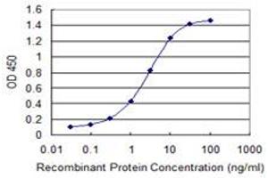 Detection limit for recombinant GST tagged HNRNPA2B1 is 0. (HNRNPA2B1 抗体  (AA 1-249))