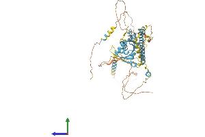 Protein Structure (PS) image for Dynein, Cytoplasmic 1, Light Intermediate Chain 1 (DYNC1LI1) (AA 1-523) protein (His tag) (ABIN7564691)