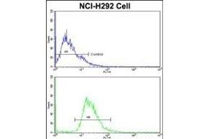 Flow Cytometry (FACS) image for anti-Eukaryotic Translation Elongation Factor 1 alpha 1 (EEF1A1) (AA 361-389), (C-Term) antibody (ABIN390521)