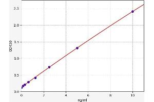 Fms-Related Tyrosine Kinase 4 (FLT4) ELISA Kit