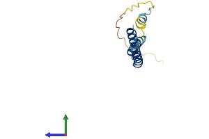 AlphaFold protein structure predicition of Mouse Recombinant Ifitm1 Protein, UniprotID Q9D103 (IFITM1 Protein (AA 1-106) (His tag))