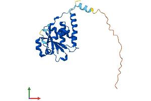 Protein Structure (PS) image for Serine/threonine/tyrosine Interacting Protein (STYX) (AA 1-223) protein (His tag) (ABIN7557640)