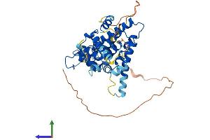 Protein Structure (PS) image for Nuclear Receptor Subfamily 2, Group F, Member 6 (NR2F6) (AA 1-390) protein (His tag) (ABIN7563256)