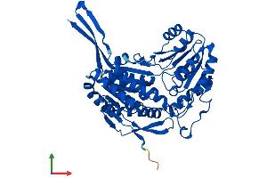 Protein Structure (PS) image for Aldehyde Dehydrogenase 8 Family, Member A1 (ALDH8A1) (AA 1-487) protein (His tag) (ABIN7551998)
