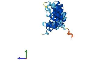 Protein Structure (PS) image for N-Ethylmaleimide-Sensitive Factor Attachment Protein, alpha (NAPA) (AA 1-295) protein (His tag) (ABIN7546134)