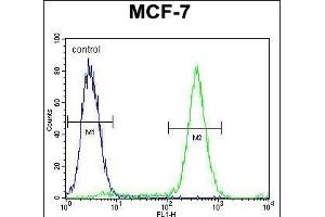 QTRTD1 Antibody (C-term) (ABIN655642 and ABIN2845119) flow cytometric analysis of MCF-7 cells (right histogram) compared to a negative control cell (left histogram). (QTRTD1 抗体  (C-Term))