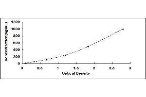 Typical standard curve