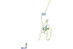 AlphaFold protein structure predicition of Human Recombinant PRR15 Protein, UniprotID Q8IV56 (Proline Rich 15 Protein (PRR15) (AA 1-129) (His tag))