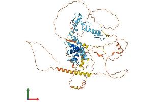Protein Structure (PS) image for Zinc Finger and BTB Domain Containing 7C (ZBTB7C) (AA 1-619) protein (His tag) (ABIN7545245)