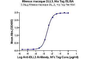 Immobilized Rhesus macaque DLL3, His Tag at 0. (DLL3 Protein (AA 27-490) (His tag))