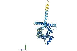 AlphaFold protein structure predicition of Mouse Recombinant Tas2r129 Protein, UniprotID Q7M709 (TAS2R129 Protein (AA 1-320) (His tag))