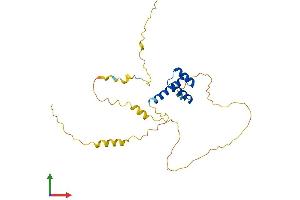 AlphaFold protein structure predicition of Human Recombinant BARX1 Protein, UniprotID Q9HBU1 (BARX1 Protein (AA 1-254) (His tag))