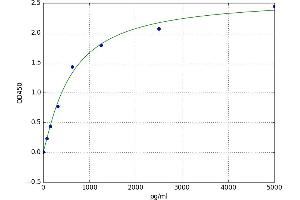G-Elongation Factor, Mitochondrial 1 (GFM1) ELISA Kit