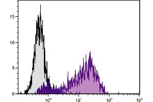 PMA and ionomycin stimulated human endothelial cell line HUV-EC-C was stained with Mouse Anti-Human CD62E/CD62P-PE. (P-Selectin 抗体  (Biotin))