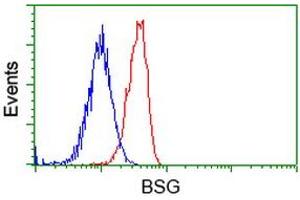 Image no. 3 for anti-Basigin (Ok Blood Group) (BSG) antibody (ABIN1498015) (CD147 抗体)