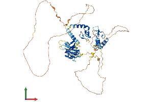 Protein Structure (PS) image for Interferon Regulatory Factor 2 Binding Protein 1 (IRF2BP1) (AA 1-584) protein (His tag) (ABIN7548420)