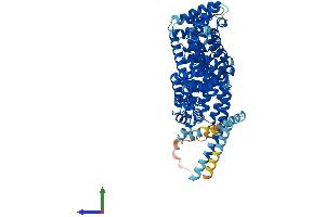 AlphaFold protein structure predicition of Mouse Recombinant Ttc12 Protein, UniprotID Q8BW49