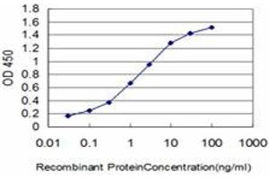 Detection limit for recombinant GST tagged HSPA1B is approximately 0. (HSPA1B 抗体  (AA 531-611))