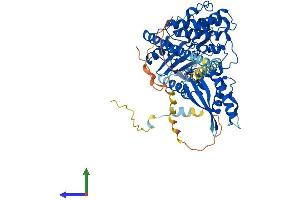 Protein Structure (PS) image for PX domain-containing protein kinase-like protein (PXK) (AA 1-578) protein (His tag) (ABIN7551149)
