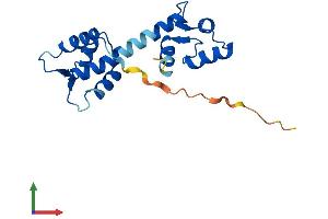 Protein Structure (PS) image for Centrin, EF-Hand Protein, 1 (CETN1) (AA 1-172) protein (His tag) (ABIN7563229)
