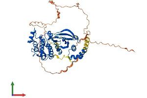 AlphaFold protein structure predicition of Mouse Recombinant Smok2b Protein, UniprotID Q9QYZ3