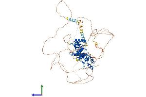 Protein Structure (PS) image for Microcephalin 1 (MCPH1) (AA 1-835) protein (His tag) (ABIN7554506)