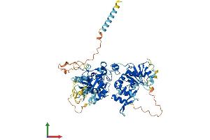 AlphaFold protein structure predicition of Human Recombinant EXTL1 Protein, UniprotID Q92935