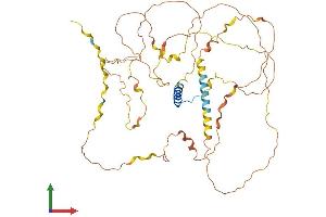 Protein Structure (PS) image for Fibrosin (FBS) (AA 1-466) protein (His tag) (ABIN7559624)