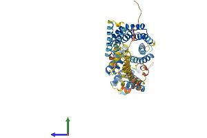 AlphaFold protein structure predicition of Human Recombinant IFIT3 Protein, UniprotID O14879