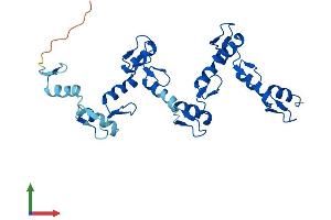 Protein Structure (PS) image for Zinc Finger Protein 146 (ZNF146) (AA 1-292) protein (His tag) (ABIN7550268)