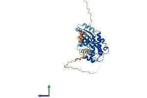 Protein Structure (PS) image for Calcium/calmodulin-Dependent Protein Kinase ID (CAMK1D) (AA 1-385) protein (His tag) (ABIN7564442)