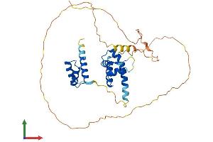 Protein Structure (PS) image for POU Domain, Class 4, Transcription Factor 3 (POU4F3) (AA 1-338) protein (His tag) (ABIN7550928)