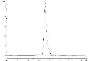 The purity of Human LILRB1 is greater than 95 % as determined by SEC-HPLC.