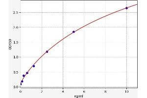 Typical standard curve (CREB1 ELISA 试剂盒)