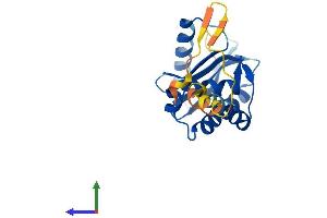 Protein Structure (PS) image for Adaptor-Related Protein Complex 3, sigma 2 Subunit (AP3S2) (AA 1-193) protein (His tag) (ABIN7558864)