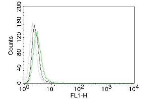 Flow Cytometry of EGFR on Mouse NIH/3T3 cells. (EGFR 抗体  (Extracellular Domain) (CF®488A))