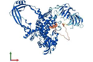Protein Structure (PS) image for Topoisomerase (DNA) III beta (TOP3B) (AA 1-862) protein (His tag) (ABIN7565309)