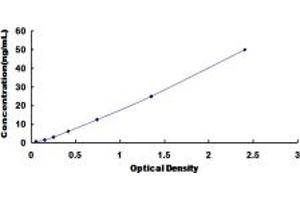 Typical standard curve (ATP5J ELISA 试剂盒)