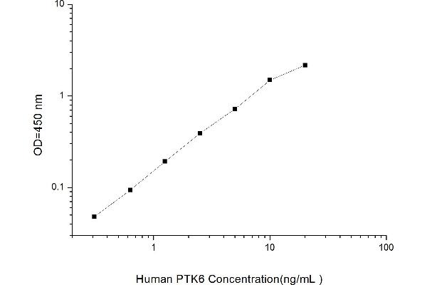 PTK6 ELISA 试剂盒