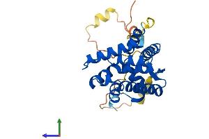 AlphaFold protein structure predicition of Human Recombinant NR0B2 Protein, UniprotID Q15466