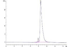 Size-exclusion chromatography-High Pressure Liquid Chromatography (SEC-HPLC) image for Carboxypeptidase M (CPM) (AA 18-423) protein (His tag) (ABIN7274412)