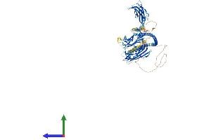 AlphaFold protein structure predicition of Mouse Recombinant Cep120 Protein, UniprotID Q7TSG1