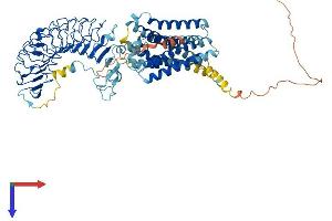 Protein Structure (PS) image for Relaxin/insulin-Like Family Peptide Receptor 2 (RXFP2) (AA 1-737) protein (His tag) (ABIN7560168)